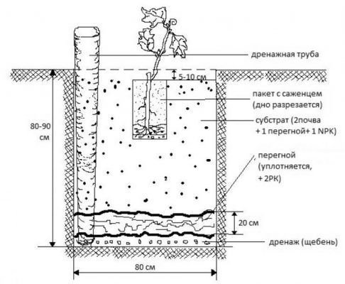 схема посадки