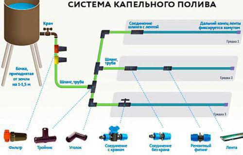 Схема крапельного поливу