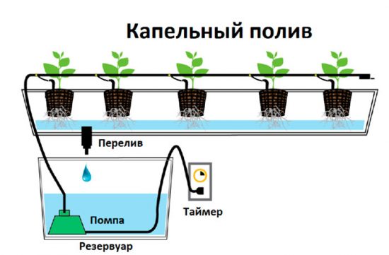 обладнання для вирощування овочів гідропонікою