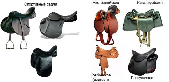 амуніція для коня